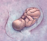 Obstetra e Obstetricia em Macaé
